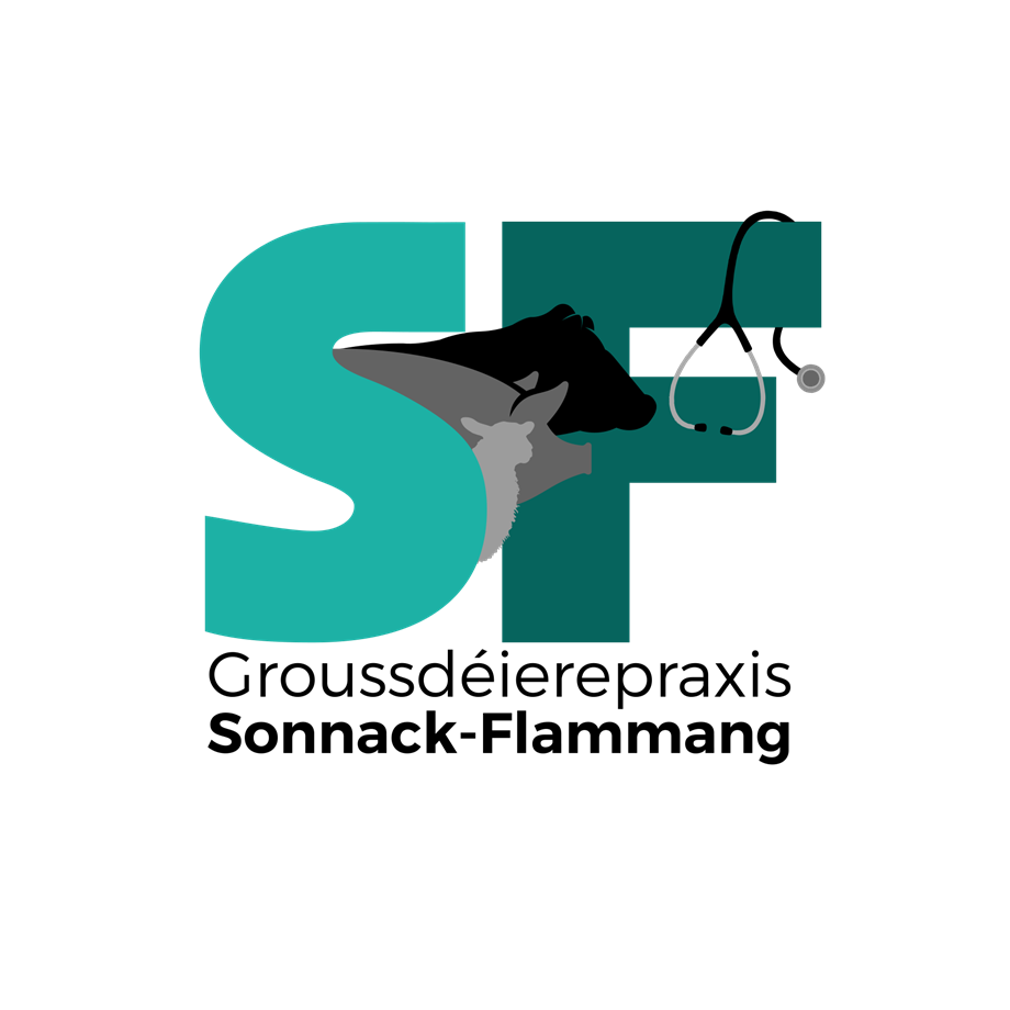 Mitarbeiter Verwaltung & Empfang (m/w)
